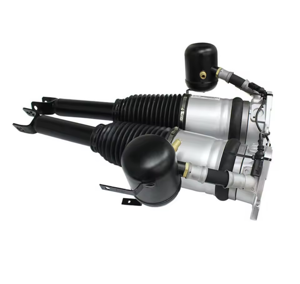 2× Amortisseurs arrière Suspension Pneumatique pour Audi A8 S8 D3 4E(2002-2010)